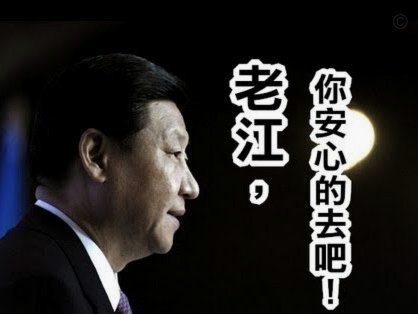 安东内拉Ins更新生活照，梅西光着脚丫子坐在草地上观看比赛3517