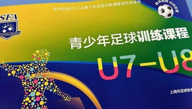 想写一部关于中国足球青训的小说，类似于日本足球小将，大家有什么建议吗