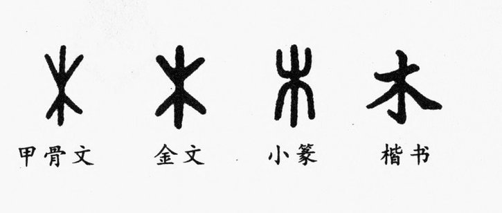 我真不明白一些人，一个亚洲三四流的中国队，为啥天天吹那些小孩成绩，还一直挂到嘴边。