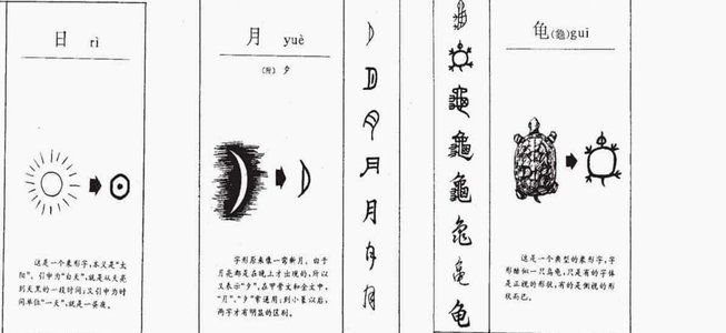 董路争议全盘点：为何争议从专业到私德步步升级？